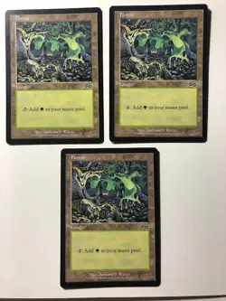 3x Forest (Same Artwork) LP-MP 1998 Urza's Saga Magic Cards, FREE SHIPPING - Image 3