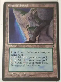 Wizards' School - Homelands - Magic the Gathering MTG Nice! - Image 1
