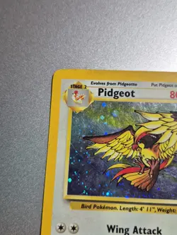 Pokemon TCG Pidgeot Base Set 2 14/130 Holo Unlimited Vintage MP Moderate Play - Image 6
