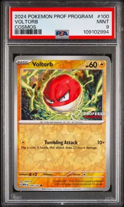 Pokemon Card PSA 9 Voltorb COSMOS Professor Program 100/165 151 Promo 2024 C2 - Image 1
