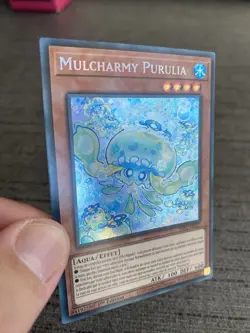 Yu-gi-oh! Card Mulcharmy Purulia INFO-FR027 Secret Rare French - Image 11