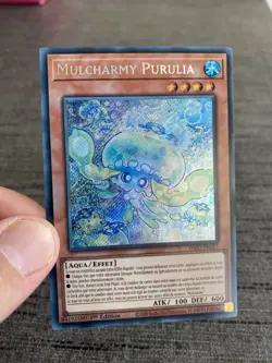 Yu-gi-oh! Card Mulcharmy Purulia INFO-FR027 Secret Rare French - Image 26