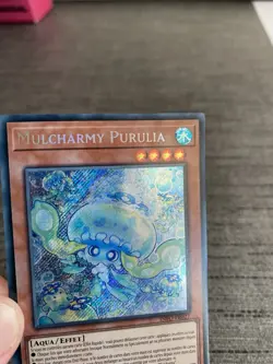 Yu-gi-oh! Card Mulcharmy Purulia INFO-FR027 Secret Rare French - Image 8