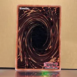 YuGiOh Dark Paladin DMG-001 Secret Rare Limited Edition NM Holographic Yu-Gi-Oh! - Image 2