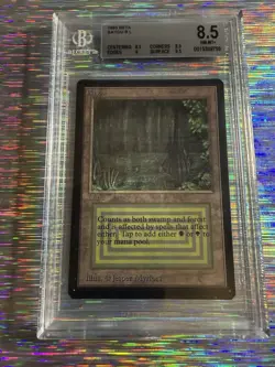 1993 Magic The Gathering MTG Bayou Beta BGS 8.5 ðŸ’¥ - Image 1