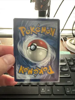 PokÃ©mon Squirtle TCG Full Art Holo Card 148/142 Stellar Crown Illustration - Image 2