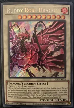 YuGiOh Ruddy Rose Dragon LIOV-EN035 1st Edition Secret Rare NM - Image 3