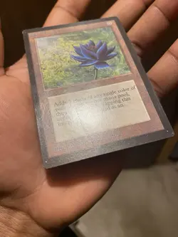 Magic the Gathering Black Lotus Collector's Edition Clipped - Image 12