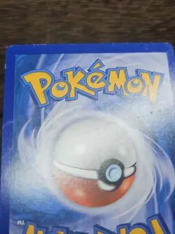Sceptile - 10/100 - Pokemon Stormfront Non-Holo Card MP - Image 7
