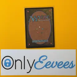 [Non-Foil] WINDSWEPT HEATH Zendikar Rising Expeditions #005 Magic MTG - Image 2