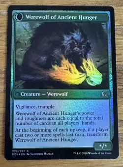 MTG Shadows Over Innistrad, Sage of Ancient Lore Promo --  Played Foil - Image 2