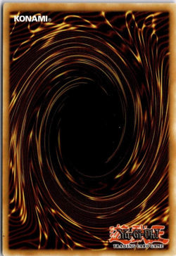 Fusion Duplication - MP24-EN201 - Ultra Rare NM Yugioh - Image 6