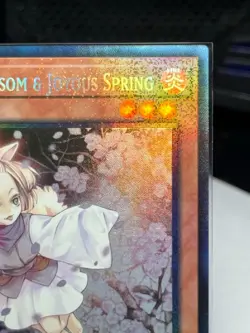 Yugioh Ash Blossom & Joyous Spring RA01-EN008 PCR Prismatic Collector's Rare NM - Image 13