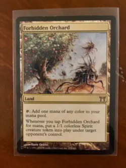 Forbidden Orchard - NM/LP - Champions of Kamigawa - MTG - Image 1