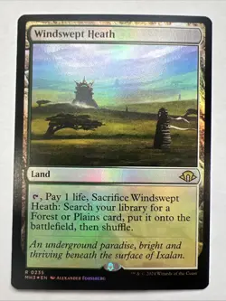 MTG Windswept Heath (Foil) Modern Horizons 3 NM - Image 1