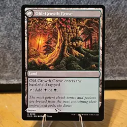 MTG Revitalizing Repast / Old-Growth Grove Modern Horizons 3 #256 NM Fresh Pull - Image 2