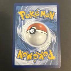 Torterra ex 012/162 Holo SV: Temporal Forces Pokemon TCG NM 2024 - Image 2