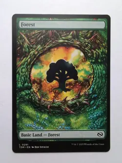 MTG Forest (TDR) Tarkir: Dragonstorm Regular Land 0291 - Image 1