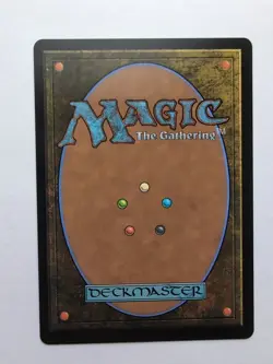 MTG Forest (TDR) Tarkir: Dragonstorm Regular Land 0291 - Image 2