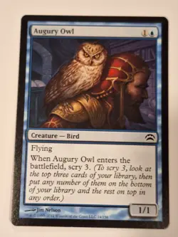 Augury Owl - Planechase 2012 - Magic the Gathering MTG Nice! - Image 1