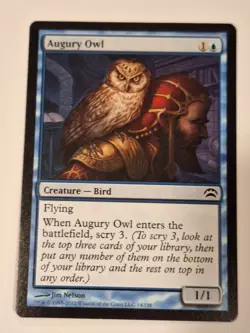 Augury Owl - Planechase 2012 - Magic the Gathering MTG Nice! - Image 3