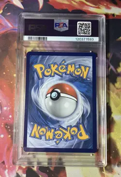 PSA 10 Terapagos ex Special Illustration Rare 170/142 Stellar Crown Pokemon - Image 2