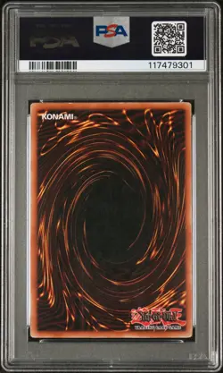 2005 YU-GI-OH! PROMO COLLECTOR TINS #EN004 DARK MAGICIAN GIRL PSA 5 - Image 2
