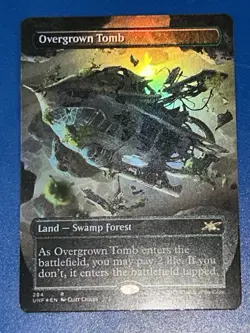 1x Overgrown Tomb Borderless Foil NM-Mint, English Unfinity MTG Magic - Image 1