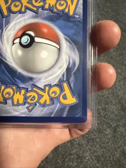 Morpeko 206/182 Paradox Rift IR Holo Pokemon Card NM Condition - Image 6