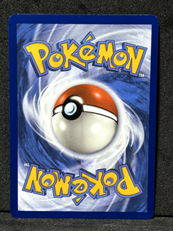 Pokémon Pikachu Rain City Showcase Promo Stamped Card EXCLUSIVE Charizard sleeve - Image 11