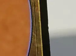 MTG Panther Warriors Portal Regular Common Magic - Image 7