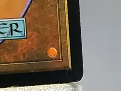 MTG Panther Warriors Portal Regular Common Magic - Image 8