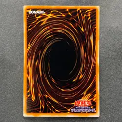 NM 2 card Blue-Eyes White Dragon DL2-001 Dark Magician DL2-005 Ultra YuGiOh 420 - Image 17