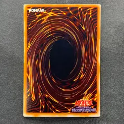 NM 2 card Dark Paladin LE5-001 Dark Paladin SY2-001 Ultra Rare YuGiOh 360 - Image 7