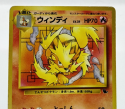 Arcanine Intro Pack Squirtle Deck 1996 No. 059 32 HP Japanese Pokemon Card - Image 28