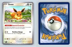 Eevee #143/191 SV Surging Sparks 2024 Common Pokemon TCG Card - Image 2