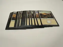 Magic The Gathering MTG 25 Basic Land White Plains *Random* Condition Varies - Image 2