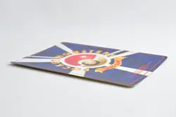 Pokemon card Venusaur No.003 Holo Rare Old Back Base Set 1996 Japanese Excellent - Image 10