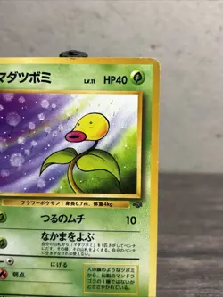 BELLSPROUT - Japanese Jungle Set - No. 069 - Common - Pokemon Card - LP!! - Image 3