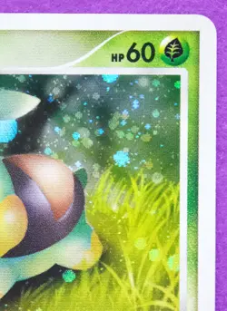 Turtwig Holo 2008 001/014 Pt Vintage Rare Nintendo Pokemon Card Japanese F/S - Image 13