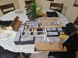 Magic The Gathering 10,000 Cards Bulk Lot Commons, Rares, Mythics, Foils - Image 8