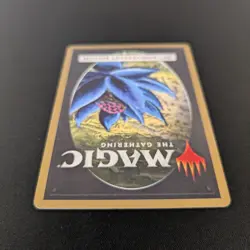 MTG \\>> Tropical Island (Modern Frame) (EX) <<// - Image 6