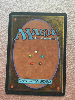Taiga MTG  Magic the gathering - Image 10