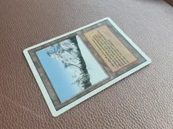 Taiga MTG  Magic the gathering - Image 11