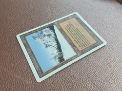 Taiga MTG  Magic the gathering - Image 3