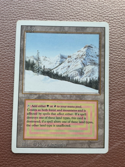 Taiga MTG  Magic the gathering - Image 9