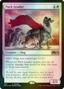 MTG Pack Leader Bundle Foil ** Core Set 2021 ** English (NM) - Image 1