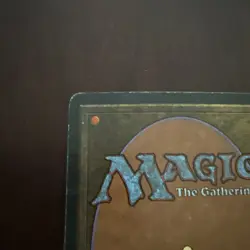 MTG Taiga Revised Near Mint - Image 3