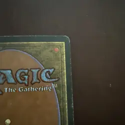 MTG Taiga Revised Near Mint - Image 4