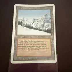 MTG Taiga Revised Near Mint - Image 8